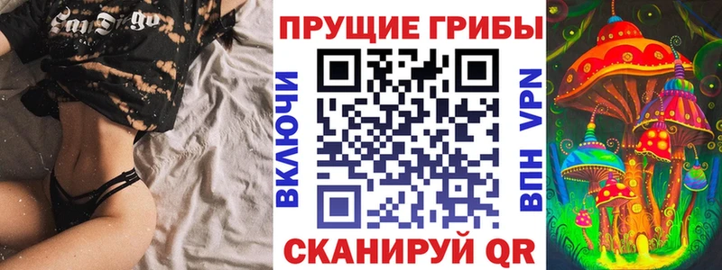 где продают наркотики  Питкяранта  Галлюциногенные грибы Psilocybe 